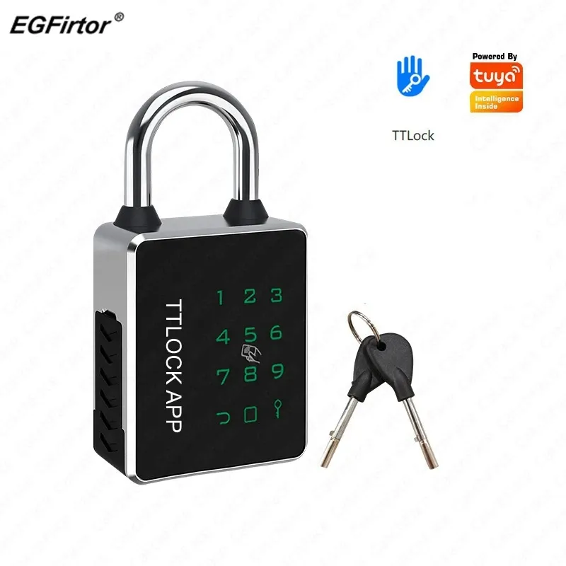 Kontrola EGFIRTOR TTLOCK PALNOCK TUYA IC KARTA RFID KLUCZ NFC NFC Odblokuj Waterproof IP65 Bluetooth Smart Electronic Door Block