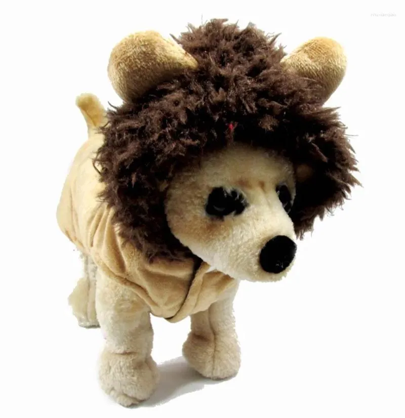 Hundkläder söta Pet Cat Clothes Lion Cosplay Costume för Halloween Christmas Fleece Warm Coat Jacket