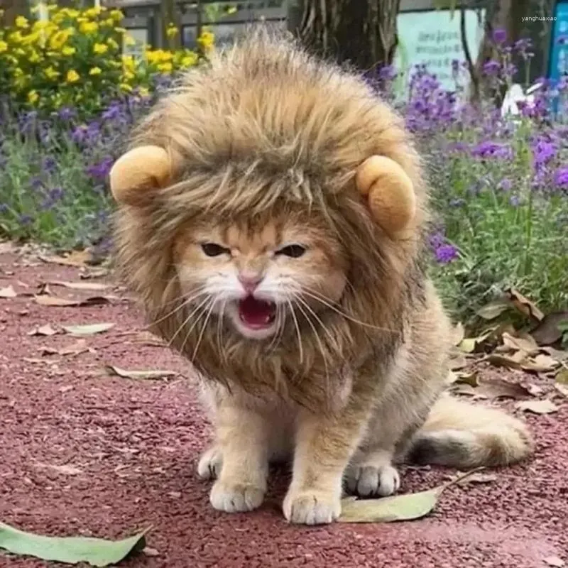 Katzenkostüme Dekorative Haustierhut weiche leichte Löwenstil-Hüte atmungsaktive Kapuze Entzückende POFORY PROPS Halloween Cosplay