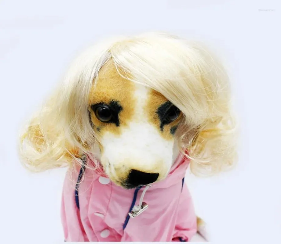 Köpek Giyim Pet Headdress Wig Sevimli Headgear Kıvırcık Saç Oyuncak Küçük ve Orta Boyutlu Kedi Güzellik Ürünleri