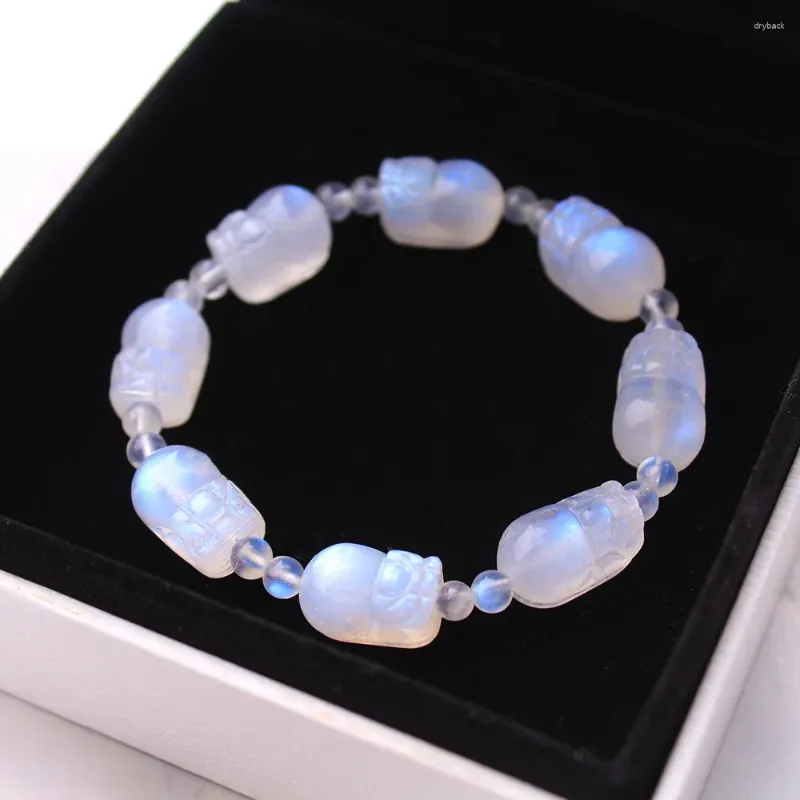 Strand Natural Blue Light Moonstone Clear Pi Xiu Beads Bracelet Bracelet 10x8mm Stretch Women Men Crystal Fashion Stone