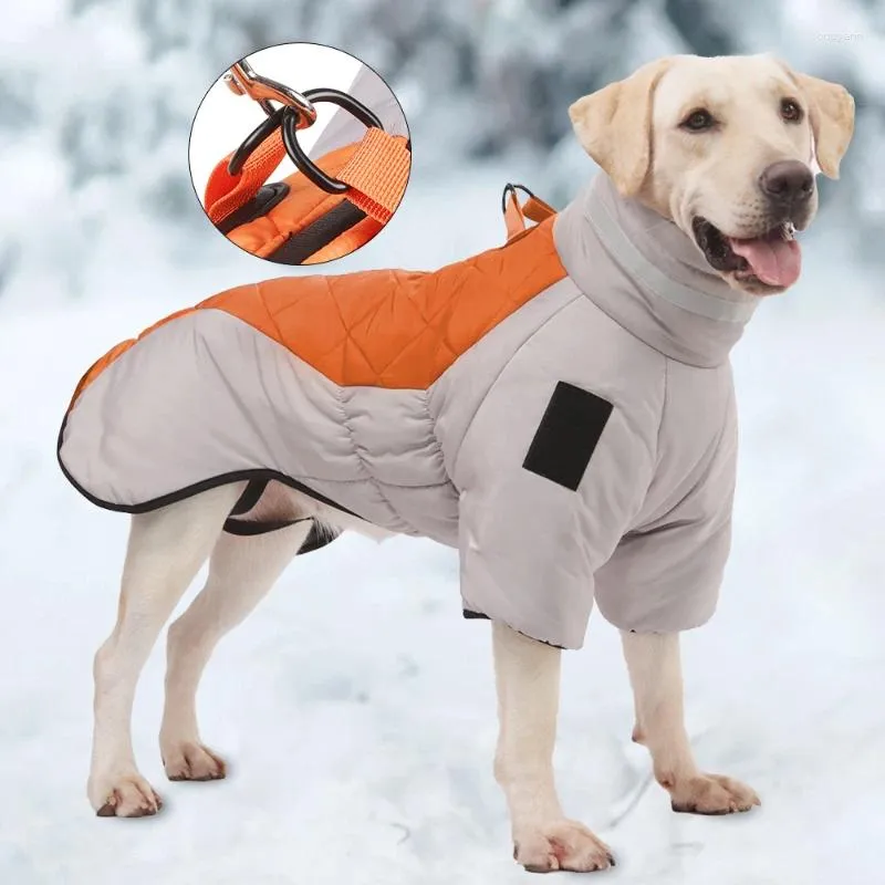 Odzieżowa odzież Wodoodporna kurtka dla średnich dużych psów zimowe ciepłe ubrania zagęszczenie Labrador Costume Golden Clothing Retriever kombinezon