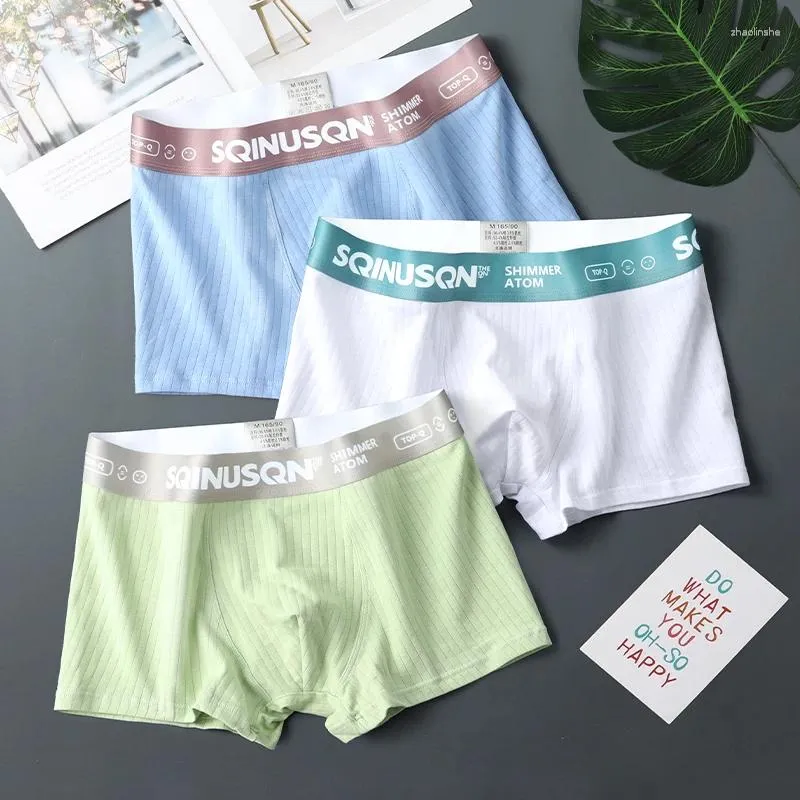 アンダーパンツ3pcs sqinusqn men's panties cotton nounderwear scornable men boxer shorts快適なサイズm-4xl