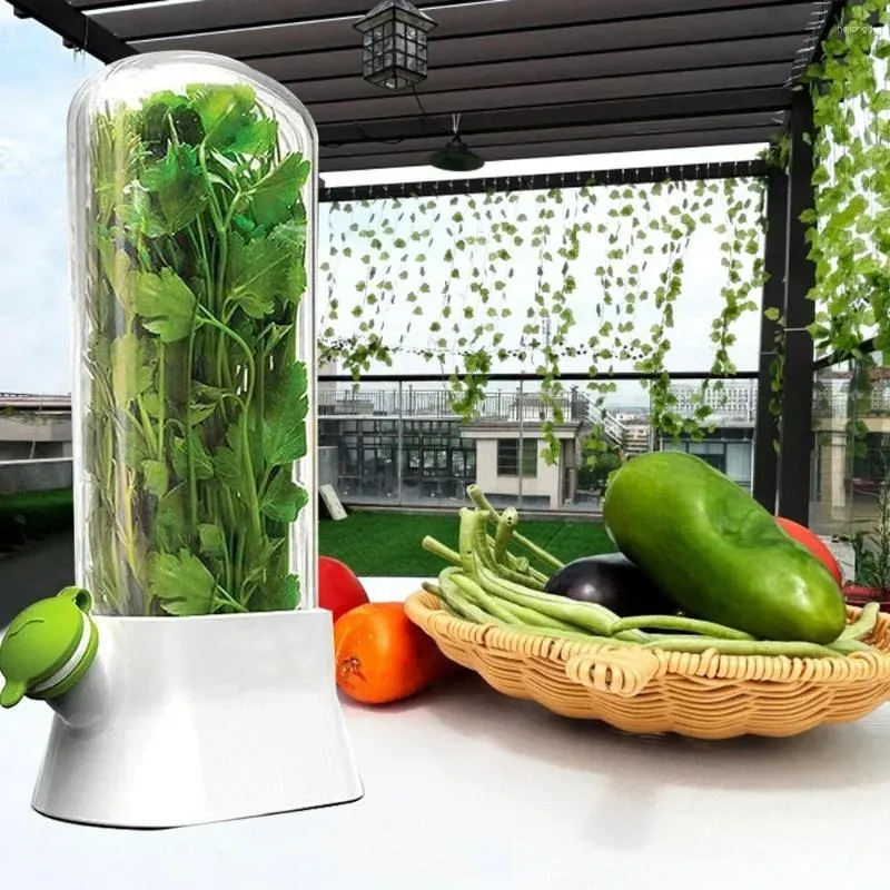 Lagringsflaskor 1pc Saver Container Färska grönsaker Konservering Bottkeeper Vanilj för kylskåp Köksgadgets