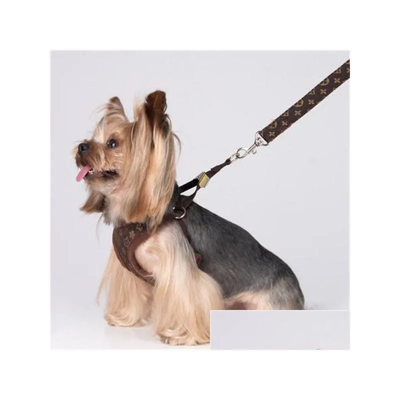 Pet collars and harnesses hotsell