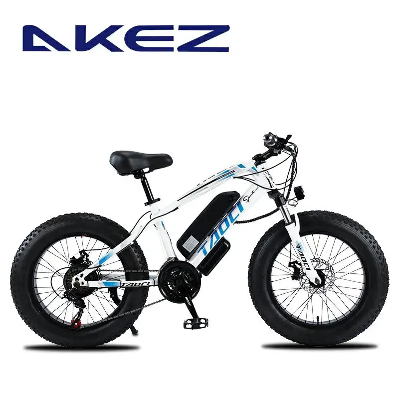 Cykel Elektrisk cykel Offroad Beach Power Electric Cykel 20 tum Fettdäck 500W Högeffekt Motor Snöelektrisk cykel