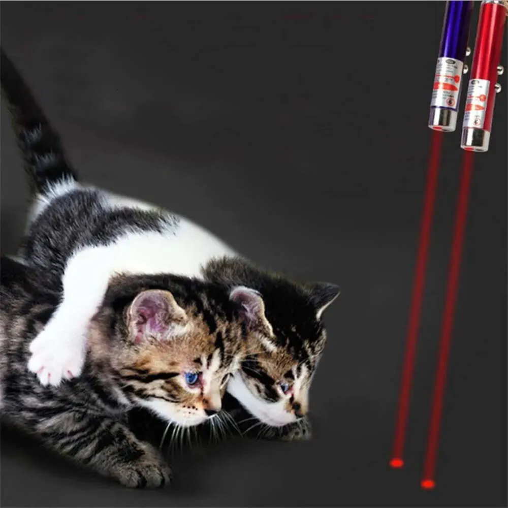 Rolig Mini Pointer Red Laser LED Light Pet Cat Toys Keychain 2 In1 Tease Cats Pen FY3825 0805 S FY385
