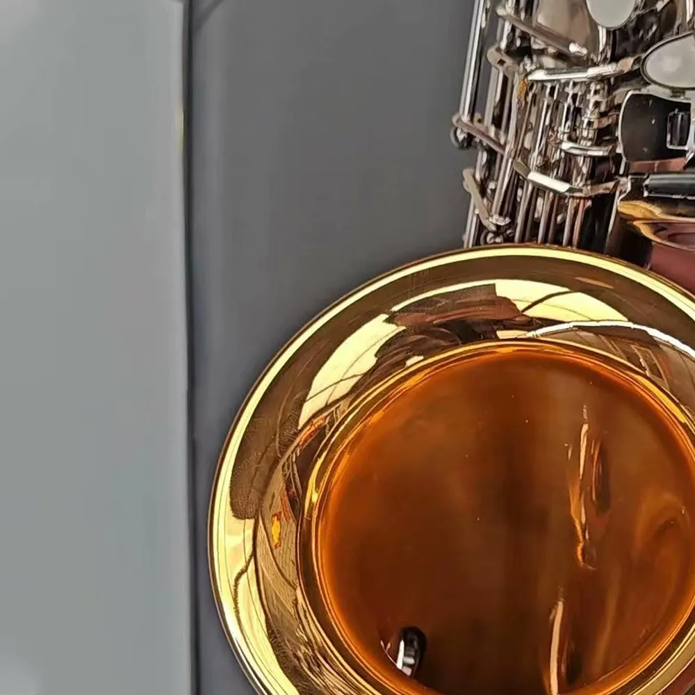 Professional W037 Alto Saxophone E-flat Nickel Plated Japan