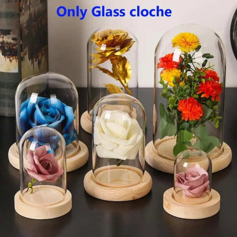 Botellas de almacenamiento de vidrio plantas de cloche cubierta de polvo Caja de flores Base de madera Botella transparente Decoración del hogar