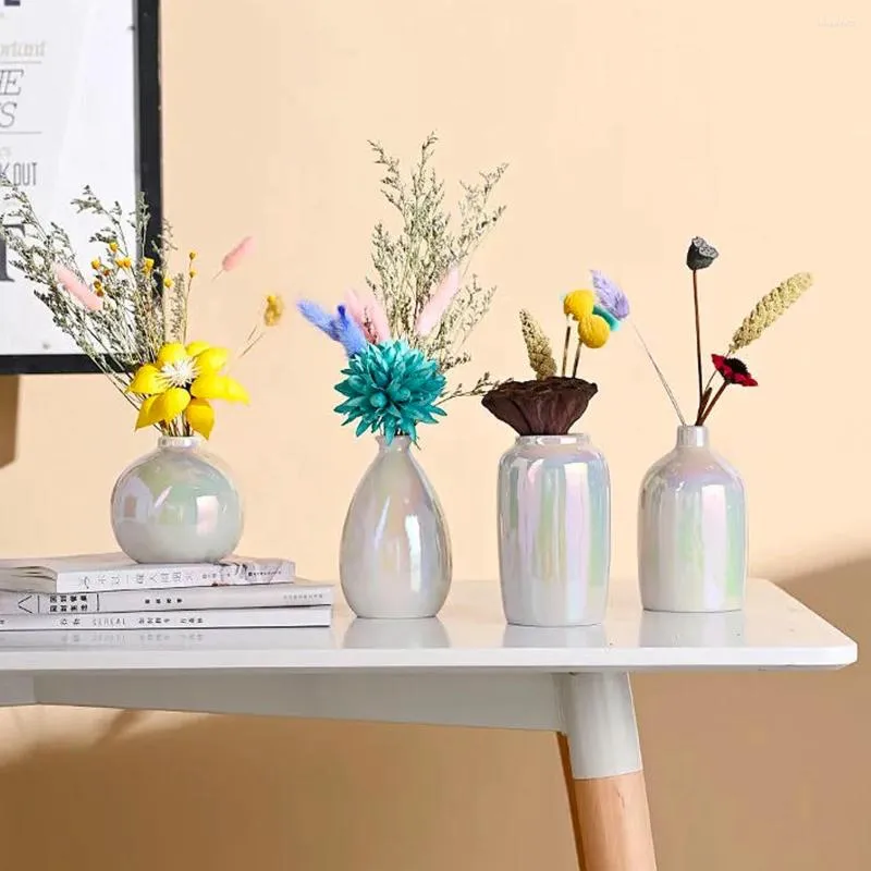 Vazen Noordse ins schitterende kleine vaas met gedroogde bloem woning decoratie woonkamer tafel parel geglazuurde arrangeur decor