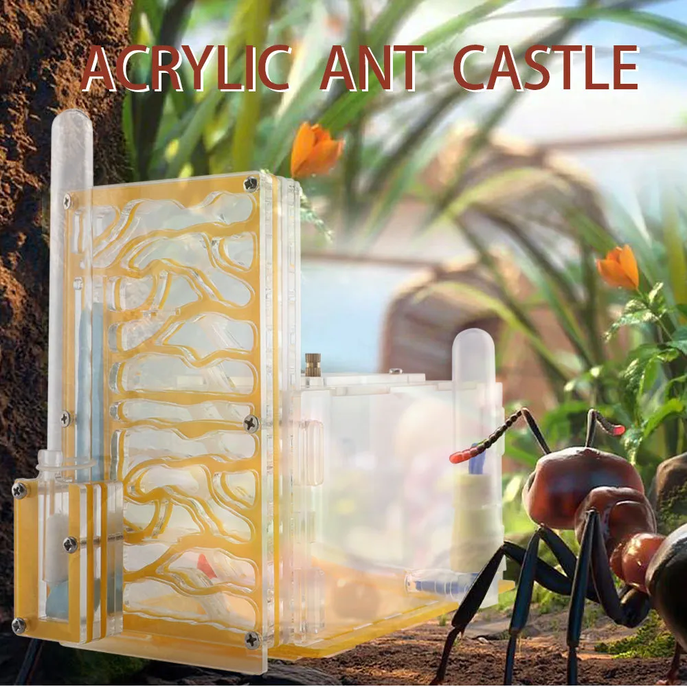 Acryl Ant Farm Ant Terrarium Ant House Kan Worden Gesplitst Mierennest