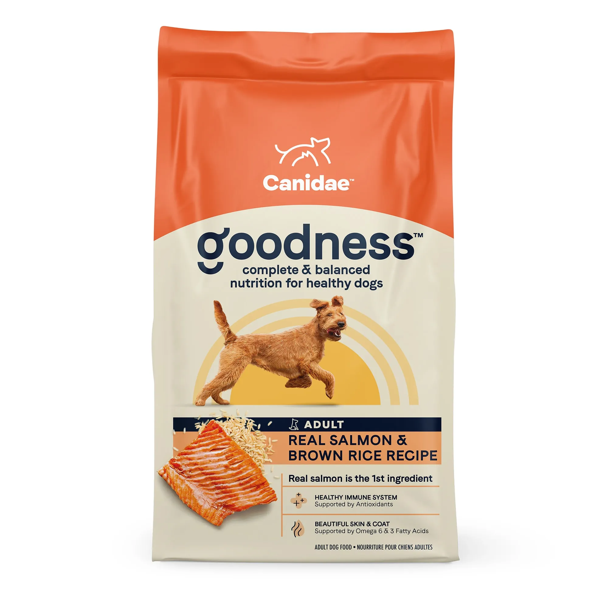 Canidae Goodness Adult Salmon Brown Rice Dry Dog Food 25 lb