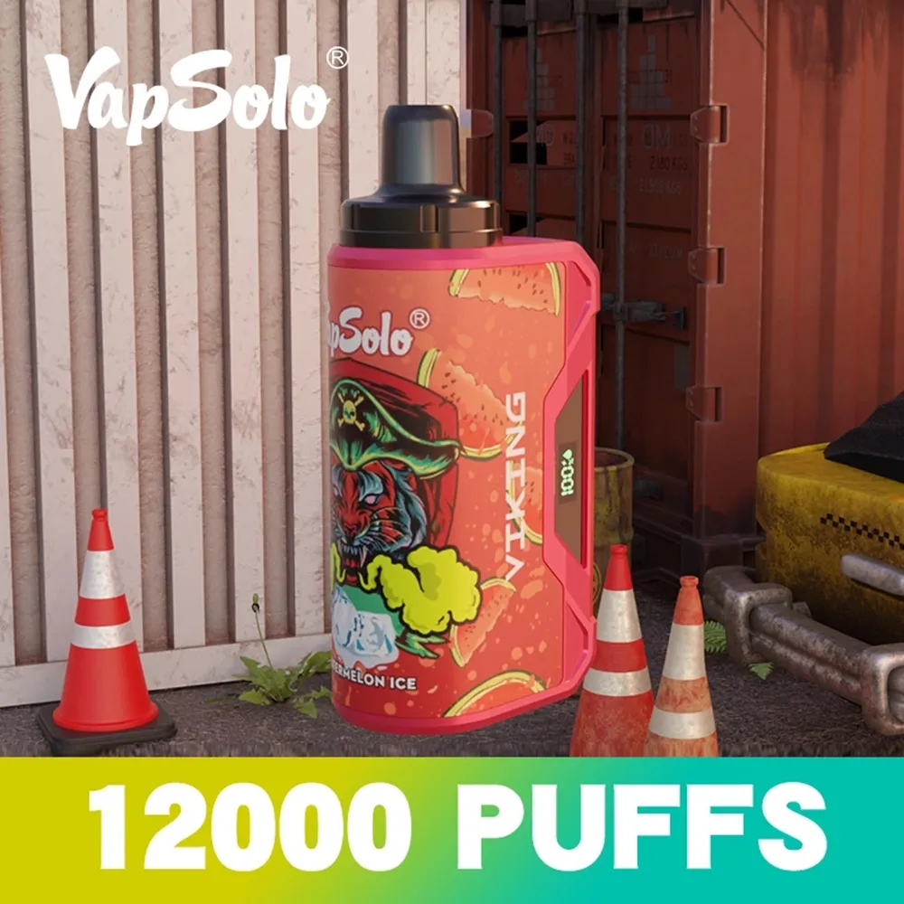 VapSolo Viking 12K Puffs wegwerp E Sigaret 12000 Puff Bar Vapers Oplaadbare batterijvape Pen 15 SMAVOREN 2% 5% NICOTINEVAPEN met scherm