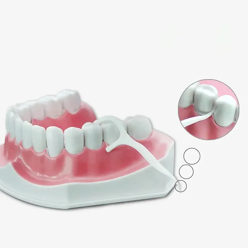 Dental Floss 50 Square Boxed Dental Floss Stick Dental Oral Gift Custom Disposable Toothpicks