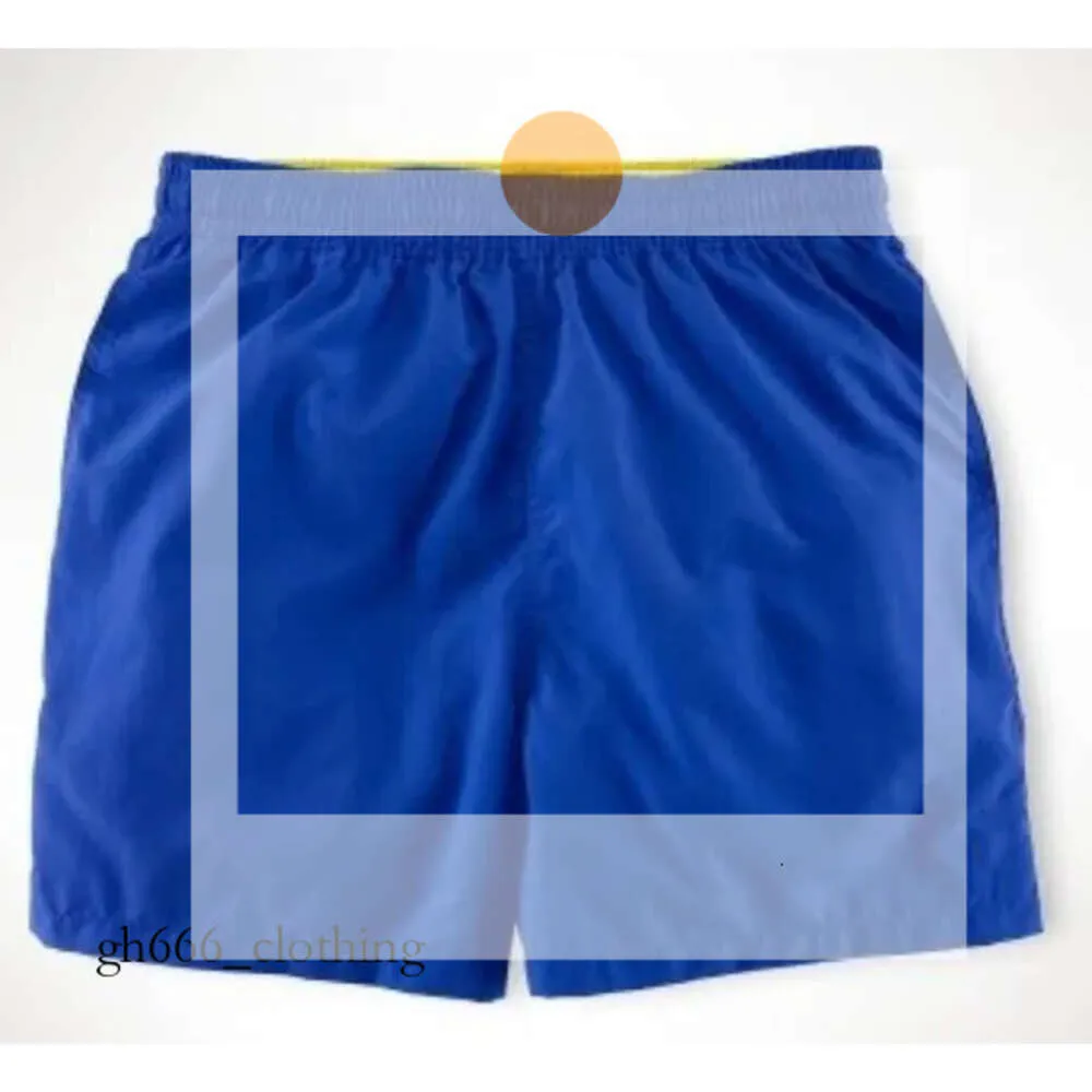 2024 Small Horse Men Beach Kurzklassische Sommer Polo Board Surfhose Schwimmshorts Herren Schwimmstämme 816