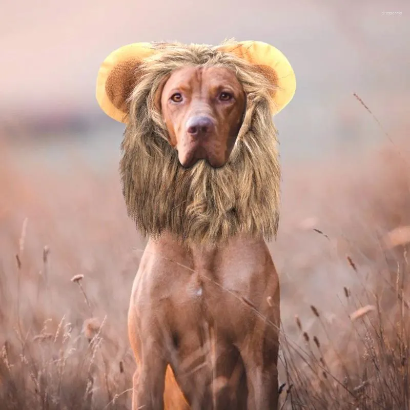 Hondenkleding creatief schattige huisdier kat lion pruik hoed kostuum grappige kleding met haaklusontwerp