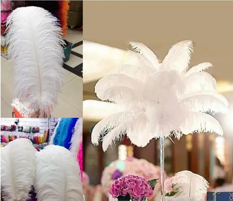 ostrich feathers for Wedding centerpiece Table centerpieces Party Decoraction supply multi color many size to choose WT035