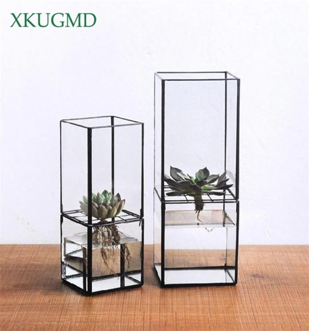 Nordiskt transparent glas dubbelskikt Hydroponic Succulent Plant Vase Geometry Plant Flower Inserter Home Decoration Flower Pot T24712060