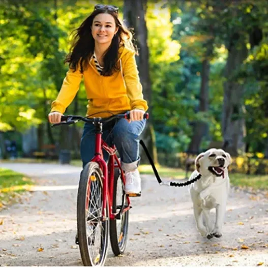 Leinen im Freien Übung Dog Bike Leine Hände kostenlos Fahrrad Leine für Hunde Sicherheitsbike Hundeleine leicht zu installieren und zu entfernen