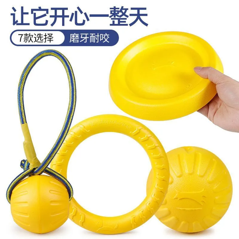 Interactive Dog Rings for Golden Retrievers - Durable, Bite-Resistant ...