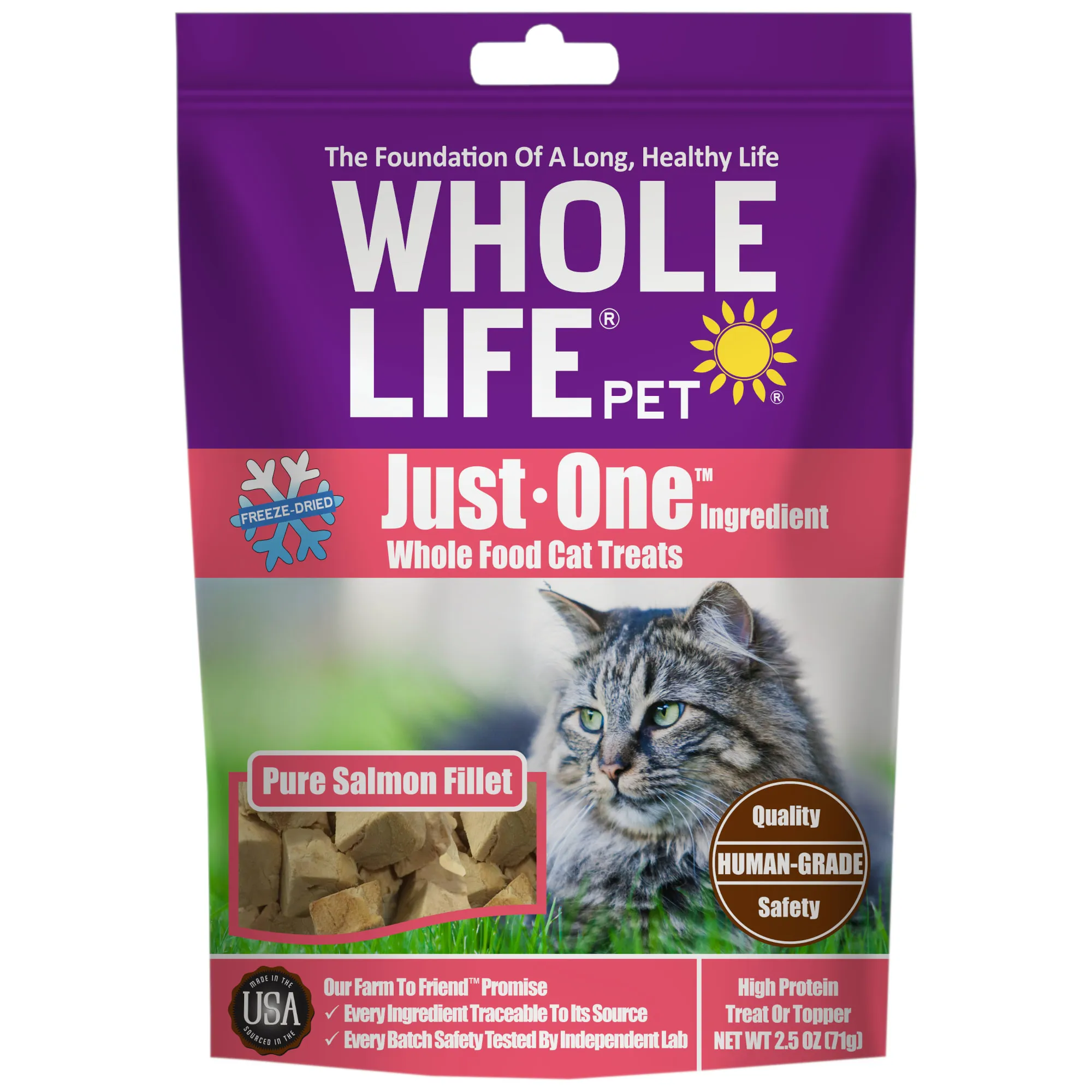 Beautiful view of Cat Food Alternatives To Grains