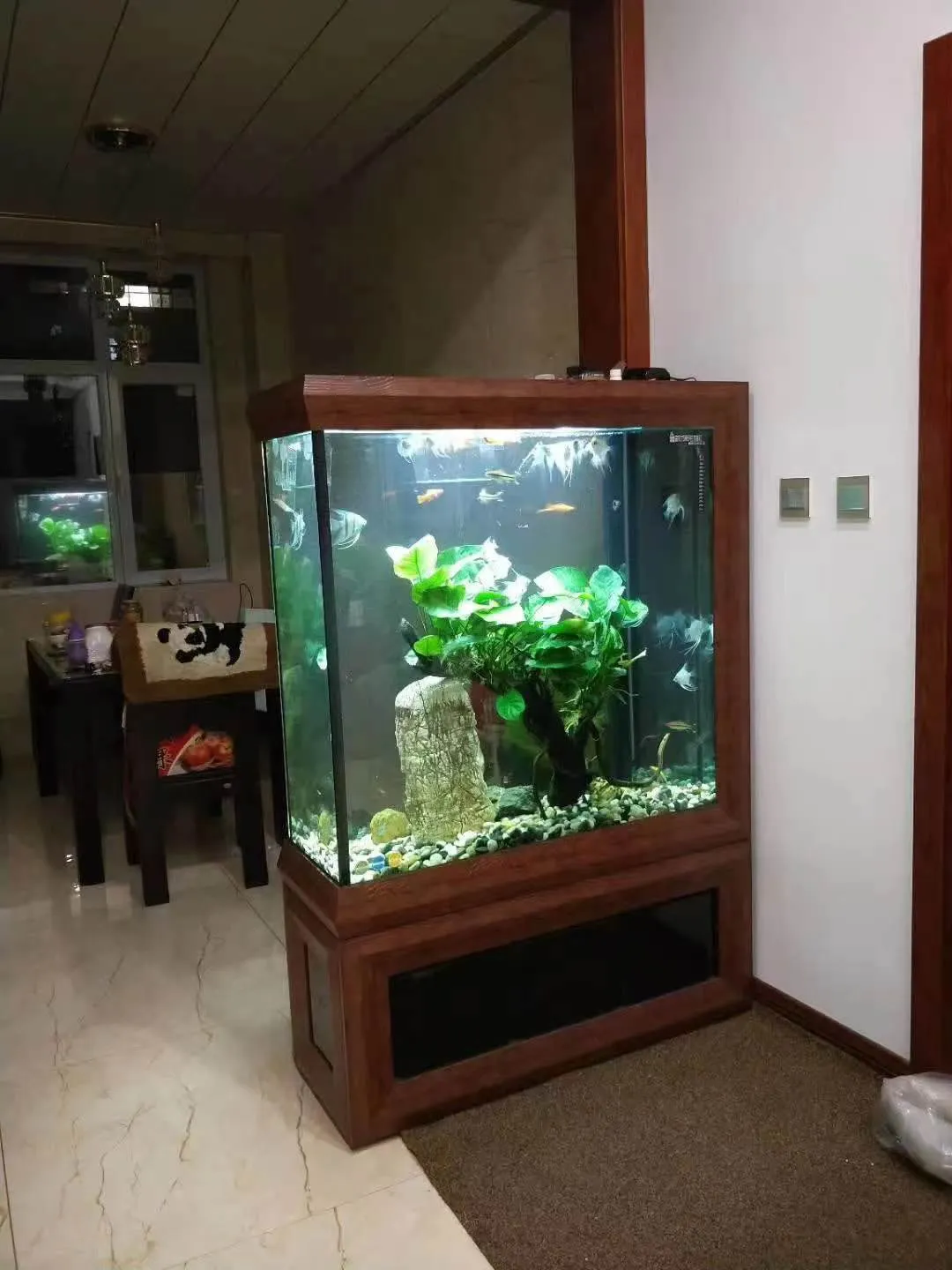 500L Floor Standing Aquarium Buying Guide | DHgate