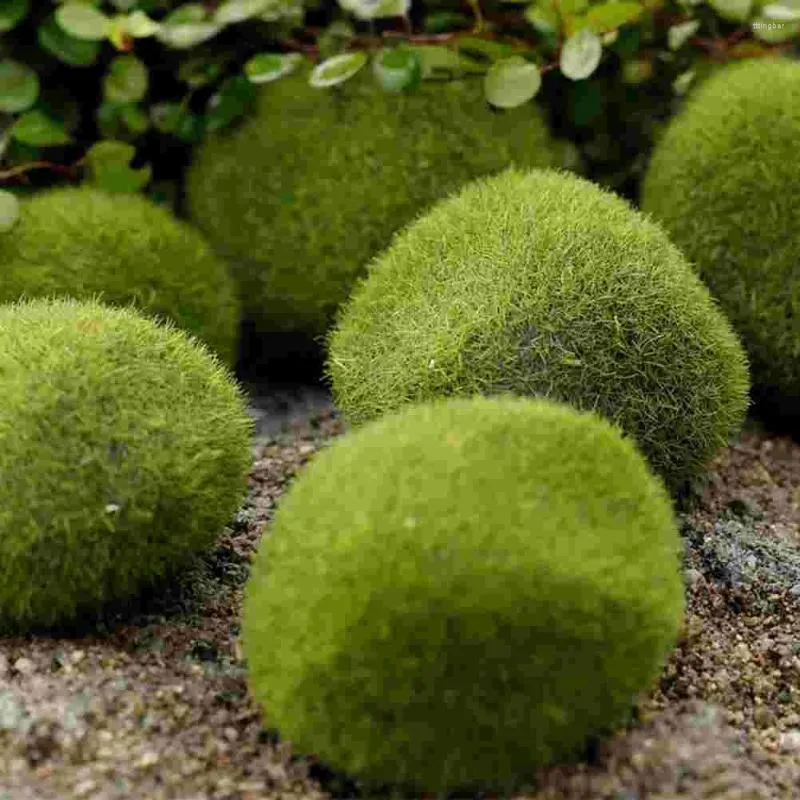 Dekorativa blommor Office Decor Simulated Moss Stone Flocked Lawn Micro Landscape Ornament Decoration (5st)