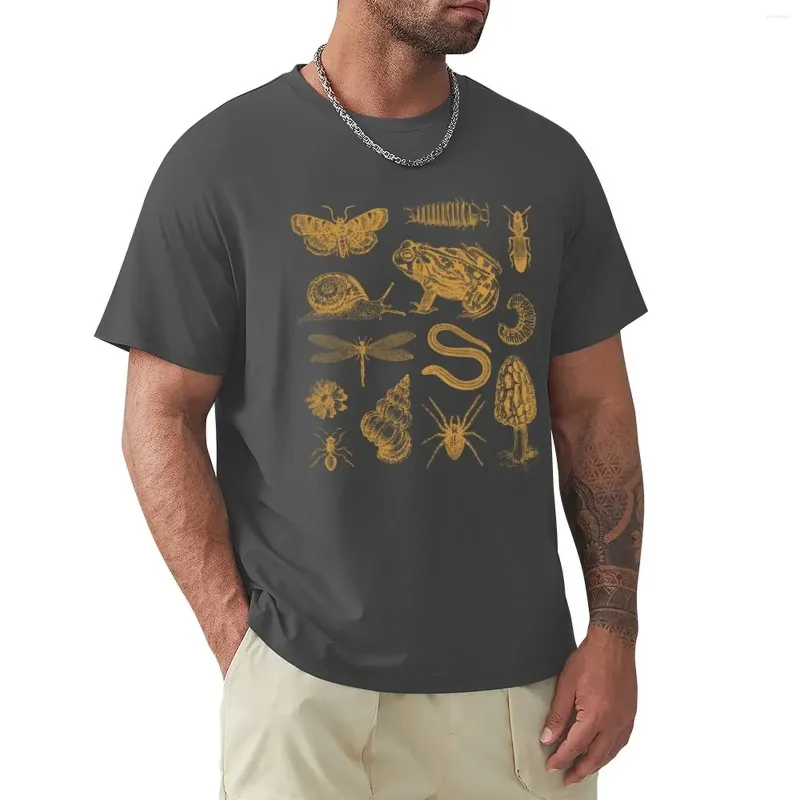 Men's Polos Frog Cogumelo Snail Moth Inseto Biologia vintage Natureza Amante - T -shirt de colagem de história natural da ciência