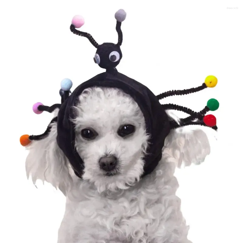 Appareils pour chiens chapeau de compagnie non décévère de chiot robe résistante à la déchirure chat animal élégant