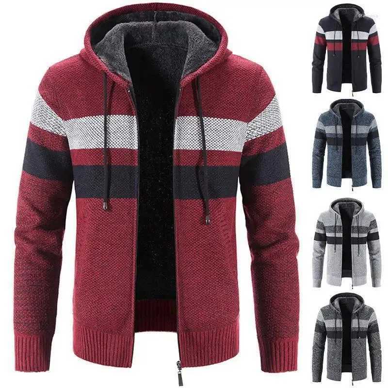 Herentruien Turtleneck Cardigan Sweater 2024 Gebreide lente en herfstfleece verdikte capuchon Jacket gestreepte jas