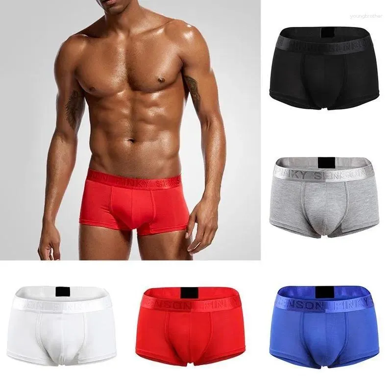 Underbyxor Modala underkläder Sexig lågmästerboxare Boxer Boxer Solid Color Shorts mjuka trosor för män gay