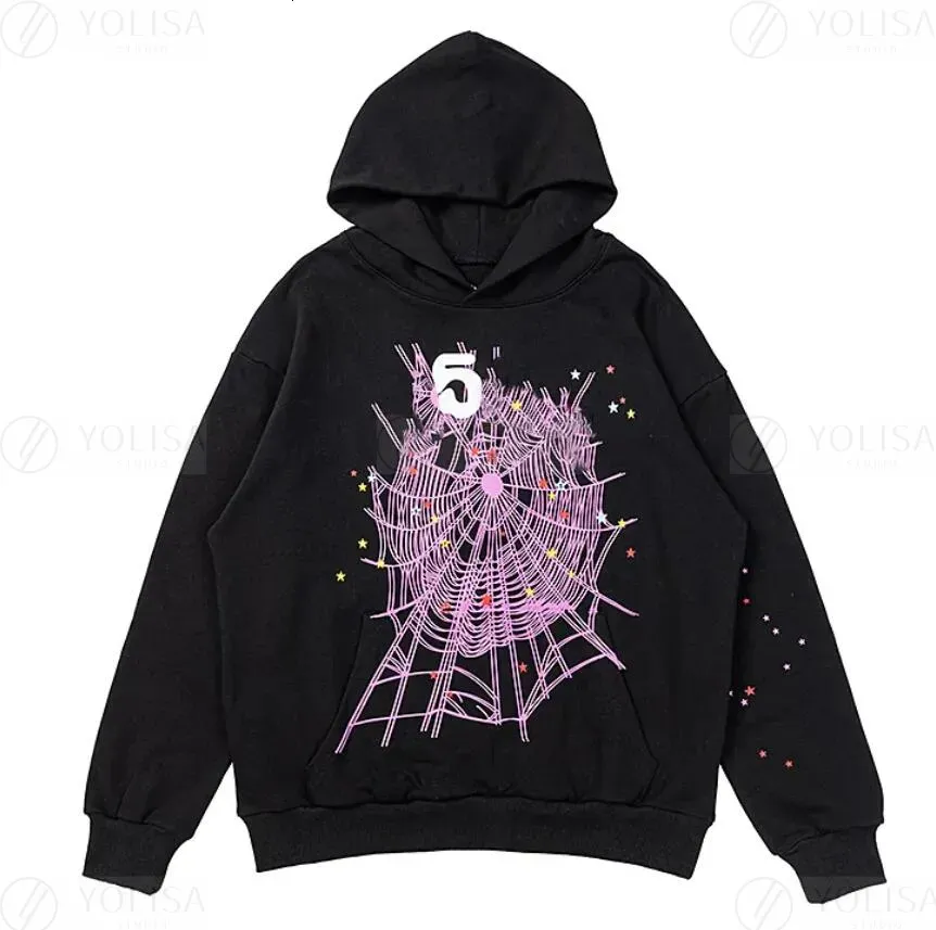 High Street Hip Hop Purple Graphic Hoodie With Spider Print For