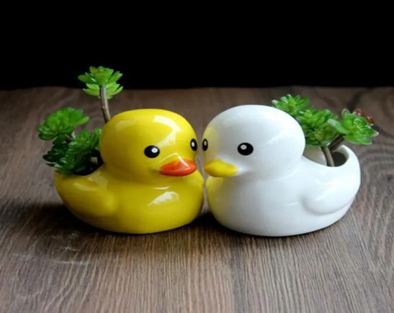 Little duck ceramic flower pot succulent planter decoration creative cute potted desktop home and garden decor ornaments1656397