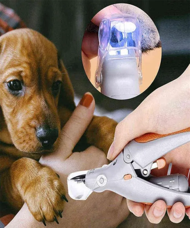 プロの犬のネイルクリッパー猫カッターペットネイルクリッパーハサミ犬用猫LEDライトネイルトリマーペット製品225394310