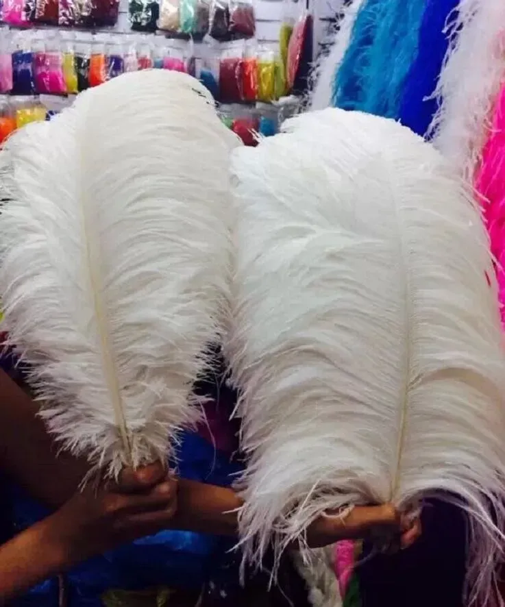 ostrich feathers for Wedding centerpiece Table centerpieces Party Decoraction supply multi color many size to choose WT035