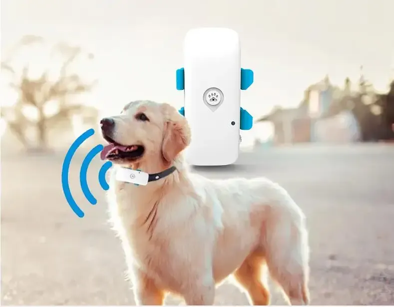 Acessórios 4G PET GPS Tracker Rastreamento de cão CAG CAT ENGERTER TKSTAR LTE GSM GPS Localizador de crawler Geofence App Free