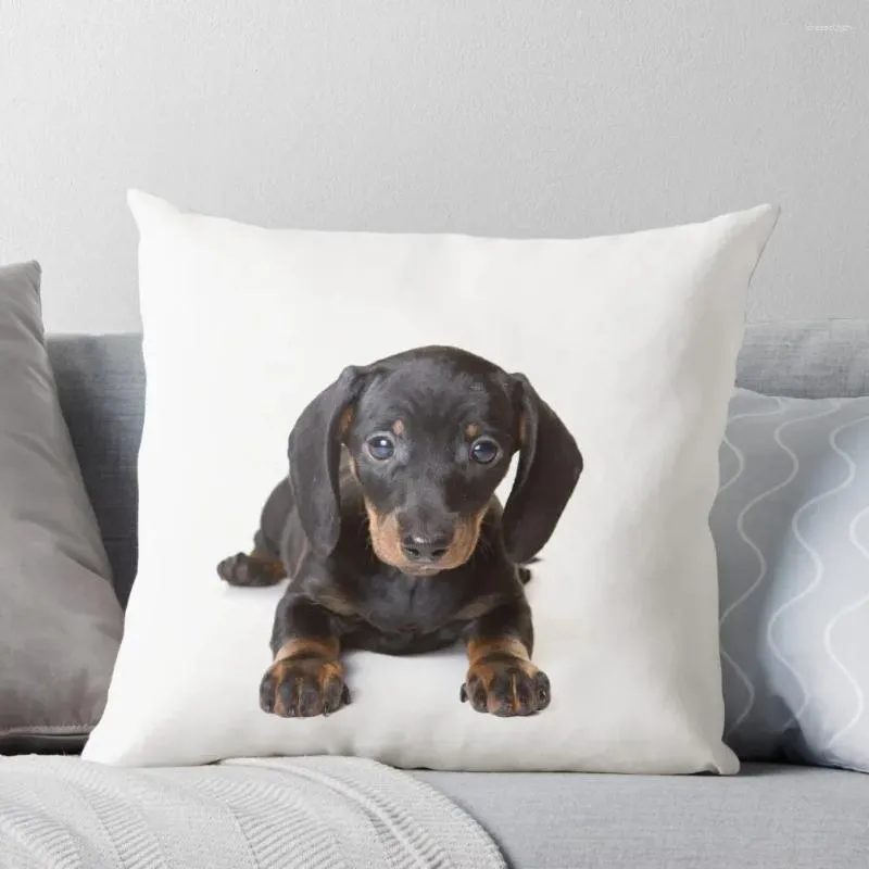 Oreiller charmant mignon mignon teckel chiot chien jet de luxe canapé oreiller décor décoratif s pour le salon