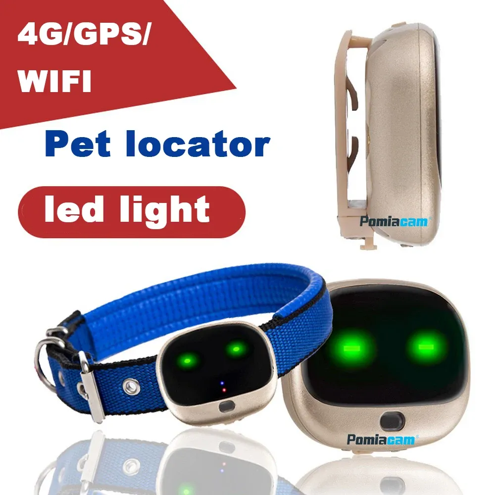 Tillbehör 4G GPS Personal Tracker Mini GPS Pets Tracker 4G LTE 2G GSM Bästa hund GPS -tracker med gratis app Waterproof RFV43