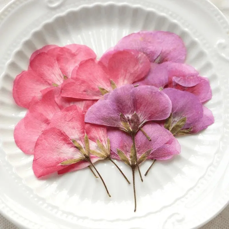 Decorative Flowers Original Geranium On Stems Specimens DIY Pressed For Teaching Prop 120Pcs Free Shipment