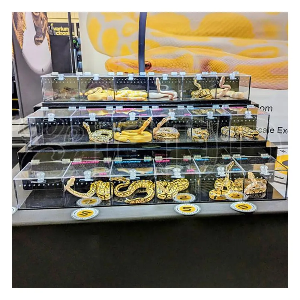 Display Case Rattlesnake Rattles Premium Clear Acrylic Reptile Display Case with Secure Lock & Multi ...
