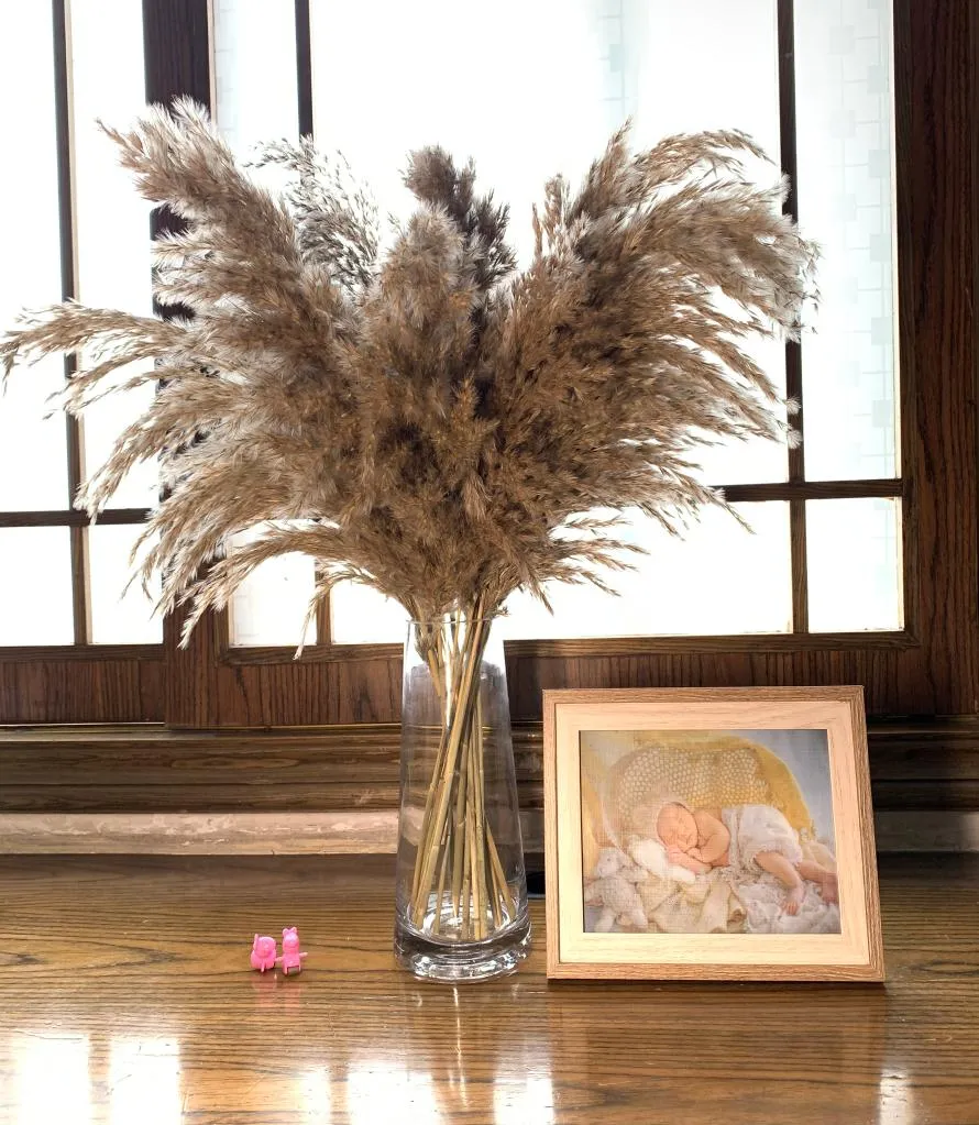 20 tiges Taille m Light Colordried Fleur réalité séchée Pampas Grass Bouquet de mariage DÉCORS NATURELS PLANTES HOME DÉCORATION DU MANDE REED8768966