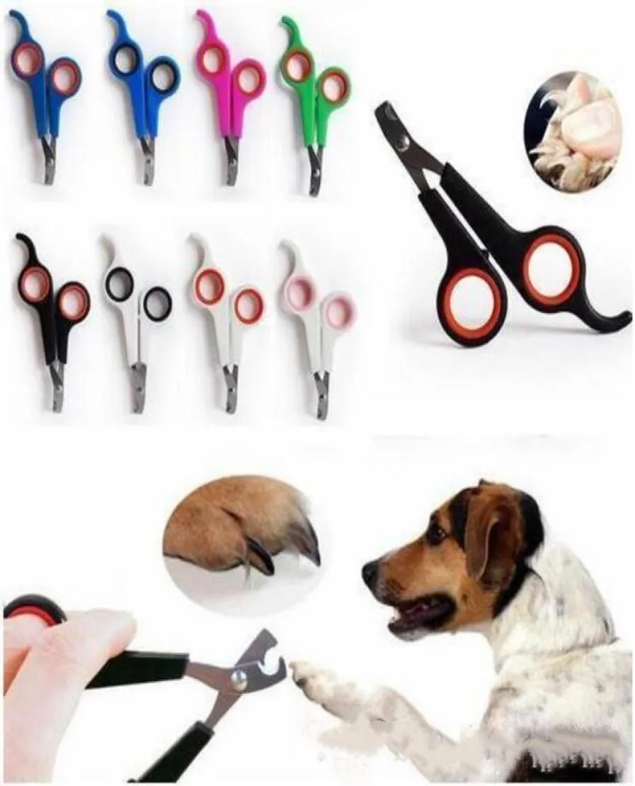 Animaux en acier inoxydable Nail Clipper Dogs Cats Nails Ciseaux Trimmor Triming Pet Dooming Supplies For Ealth LXL1199Y6132709