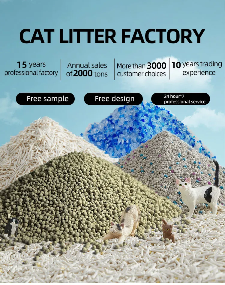 Dust Free Cat Litter For Cats That Eat Litter