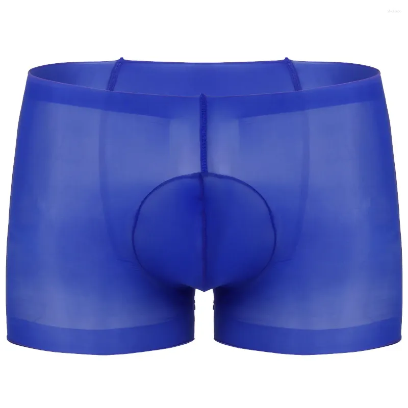 Onderbroek heren sexy ondergoed ultra dun een door pure bulge bouch rekbare erotische lingerie kous boksersbroek shorts shorts