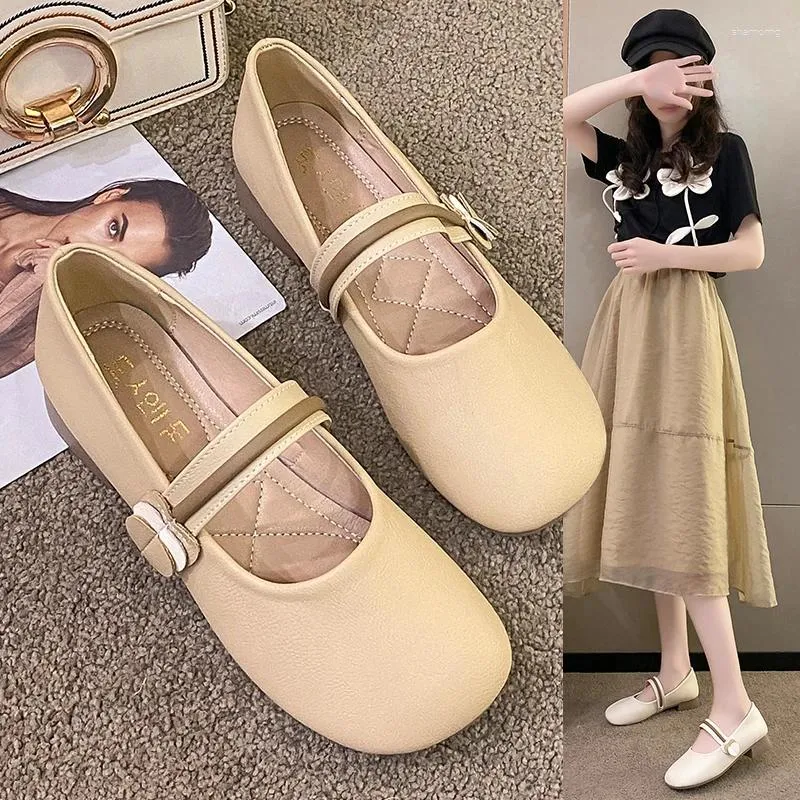 Casual schoenen Mary Jane Doudou dames 2024 Spring Summer Leisure Square Heel Soft Sole Small Leather Single Shoe vrouw