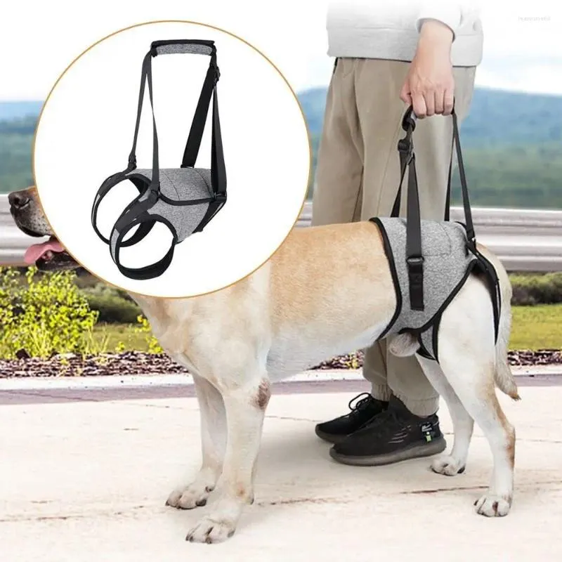 Dog Carrier Ligament Rehabilitation Lifting Harness Injured Canine Aid Support Back Legs Adjustable Sling