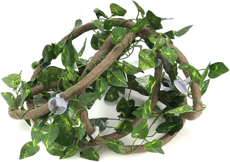 Flexible Jungle Rattan Vines for Reptiles - Natural Climbing Decor ...