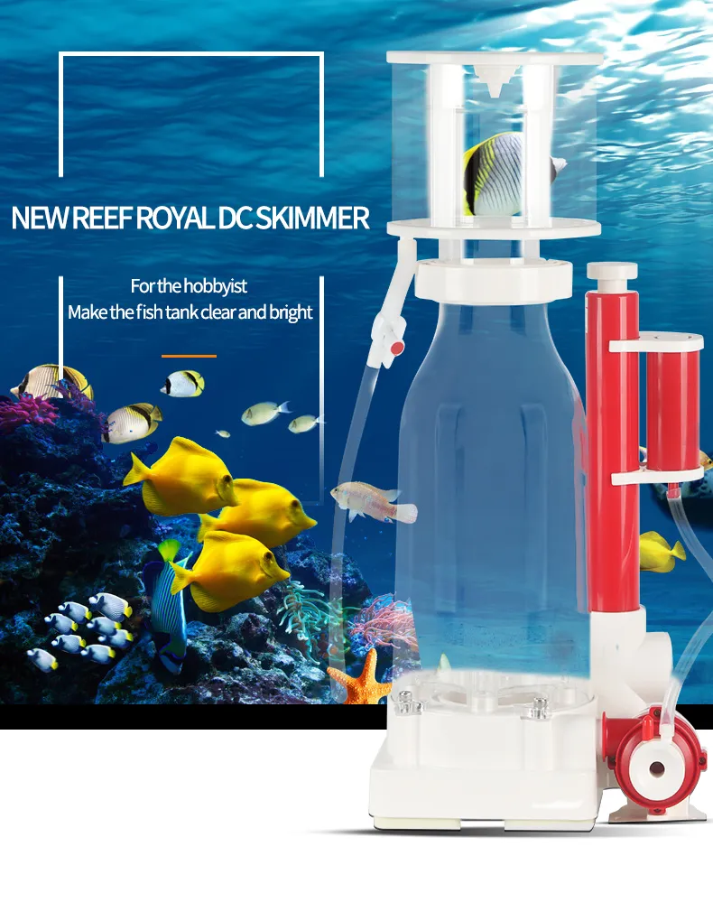 View of Protein Skimmer Reef Tank Guide