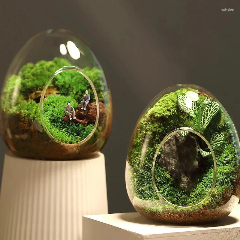 Wazony kreatywne szklane butelki w kształcie jajku soczyste wazon hydroponiczny mikro krajobraz terrarium mchu bonsai home dekoracje domowe