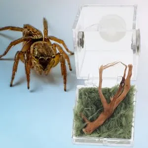 thumbnail image 2 of Acrylic Terrarium Spider Breeding Box Reptile Feed... - Vicedeal 2 of 10